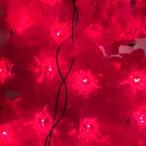 Vibrant Vintange 20 Midget Lite Poinsetta Set. Noma Red. New